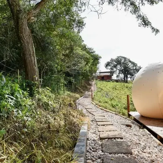 Pingo do Mula