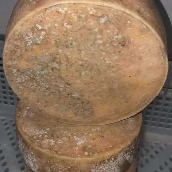 Queijo Rancho Seleção