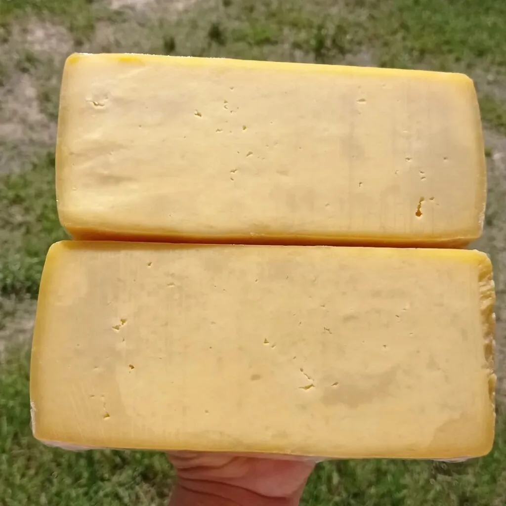 Tempo – Naturalmente Queijo